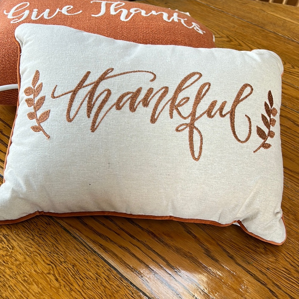 “Thankful” accent pillow with glitter embroidery on cream color fabric. 14”x18”